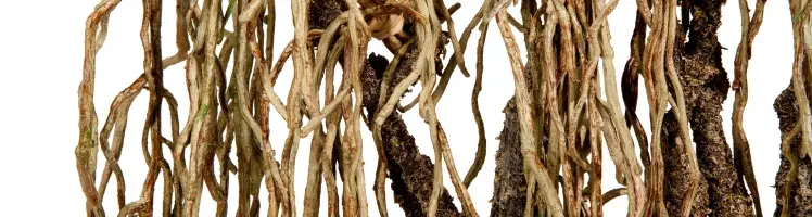 Artificial Ivy Moss Roots