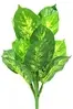 2. Artificial Dieffenbachia Bush<br>Soft Touch - 45cm thumbnail