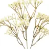 1. Artificial Dried Look Baby's Breath Spray<br>Cream thumbnail