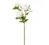 Artificial Austin Rose Spray<br>White thumbnail