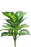 Artificial Dieffenbachia Bush<br> 45cm