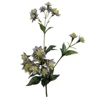 Artificial Astrantia Spray<br>Green/Purple