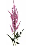 Artificial Astilbe Spray<br>Pink