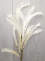 Artificial Pampas Grass Spray<br>Champagne