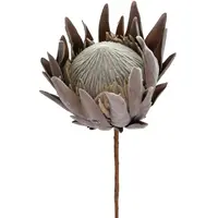 Artificial Dried Look King Protea Artificial Dried Look King Protea