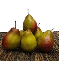 Artificial Pear<br>Green/Red Artificial Pear<br>Green/Red