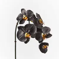 Artificial Phalaenopsis Mini Orchid<br>Black/White 51cm Artificial Phalaenopsis Mini Orchid<br>Black/White 51cm