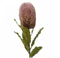 Artificial Banksia<br>Purple