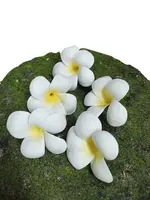 Artificial Floating Frangipani Heads<br>White/Yellow