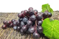 Artificial Grape Bunch<br>Large - Burgundy