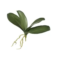 Artificial Phalaenopsis Orchid Leaf<br>Green