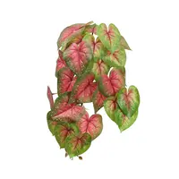 Artificial Hanging Caladium Bush<br>45cm