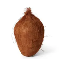 Artificial Coconut