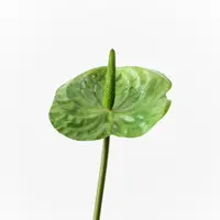 Artificial Anthurium<br>Green Artificial Anthurium<br>Green
