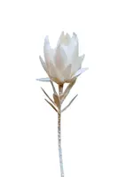 Artificial Protea<br>White Artificial Protea<br>White
