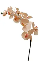 Artificial Phalaenopsis Orchid<br>Dusty Pink Artificial Phalaenopsis Orchid<br>Dusty Pink