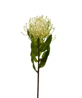 Artificial Pincushion Protea<br>Cream Artificial Pincushion Protea<br>Cream