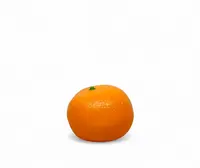 Artificial Mandarine Artificial Mandarine