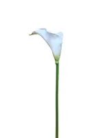 Artificial Calla Lily Stem<br>White - Small Artificial Calla Lily Stem<br>White - Small