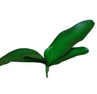 Artificial Phalaenopsis Orchid Leaf<br>Green Artificial Phalaenopsis Orchid Leaf<br>Green