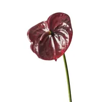 Artificial Anthurium<br>Burgundy Artificial Anthurium<br>Burgundy